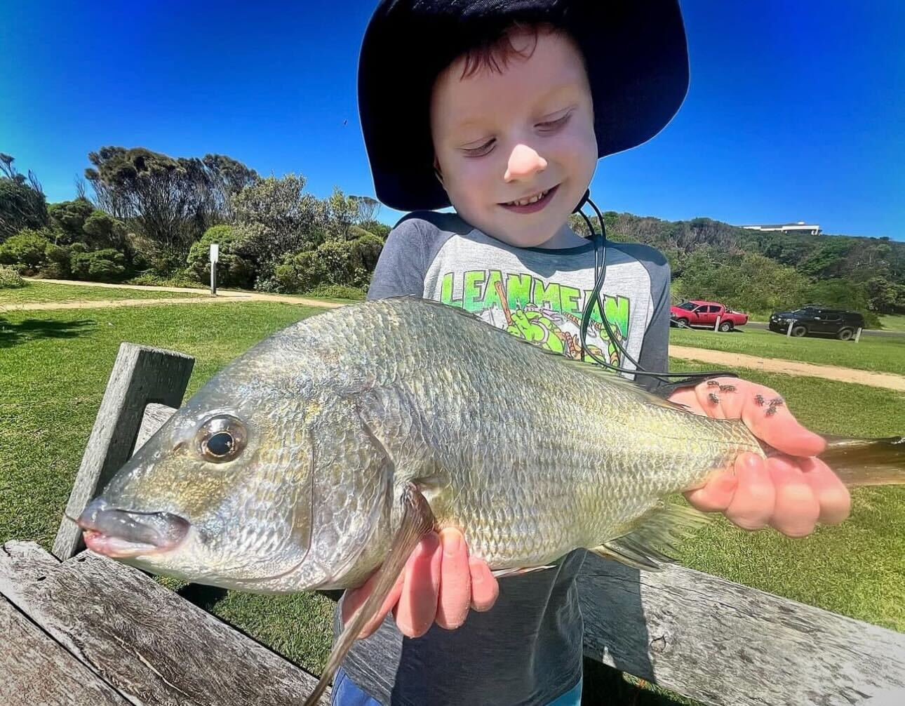 Bream from the bottom