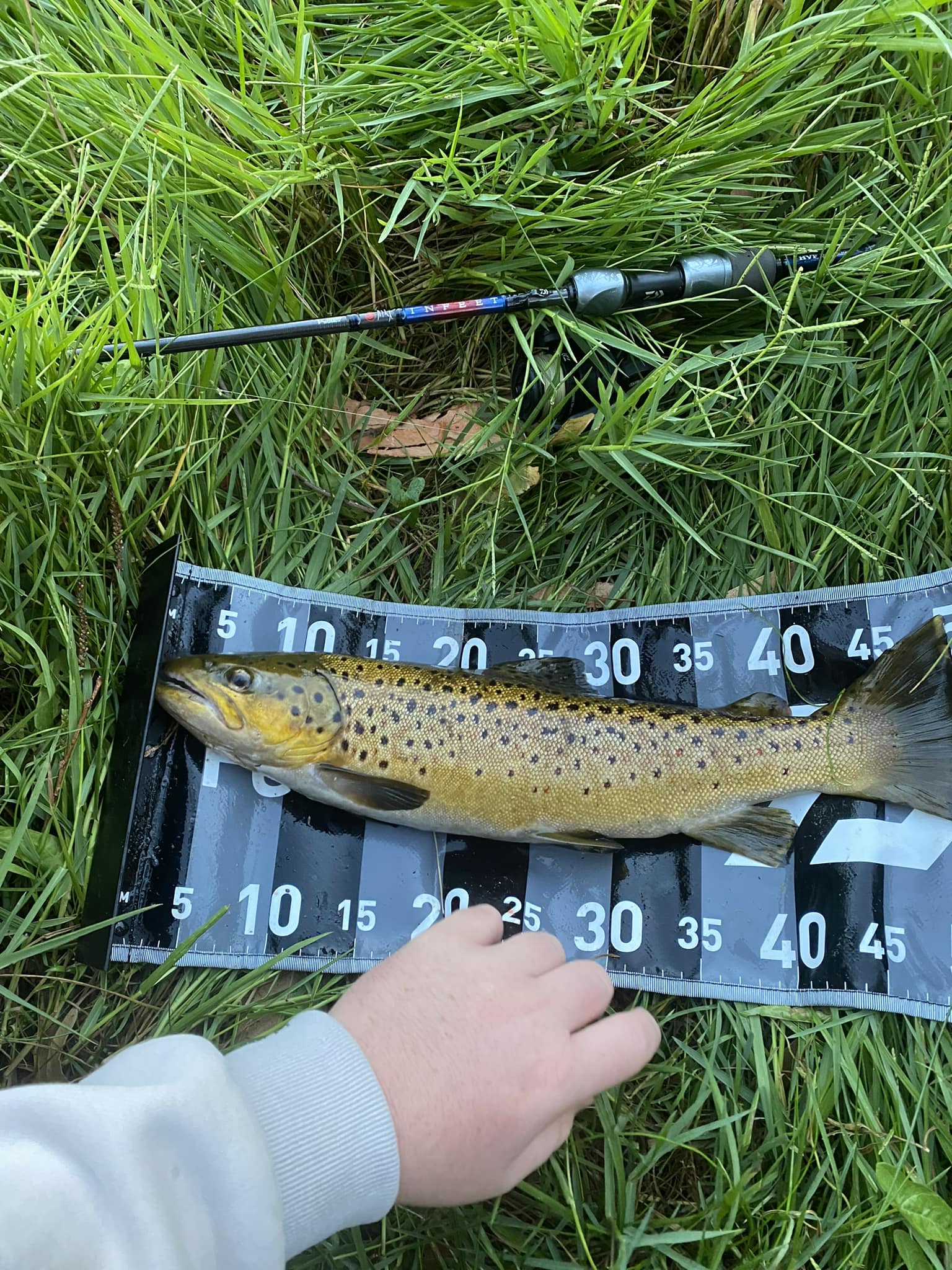 Trout on plastics