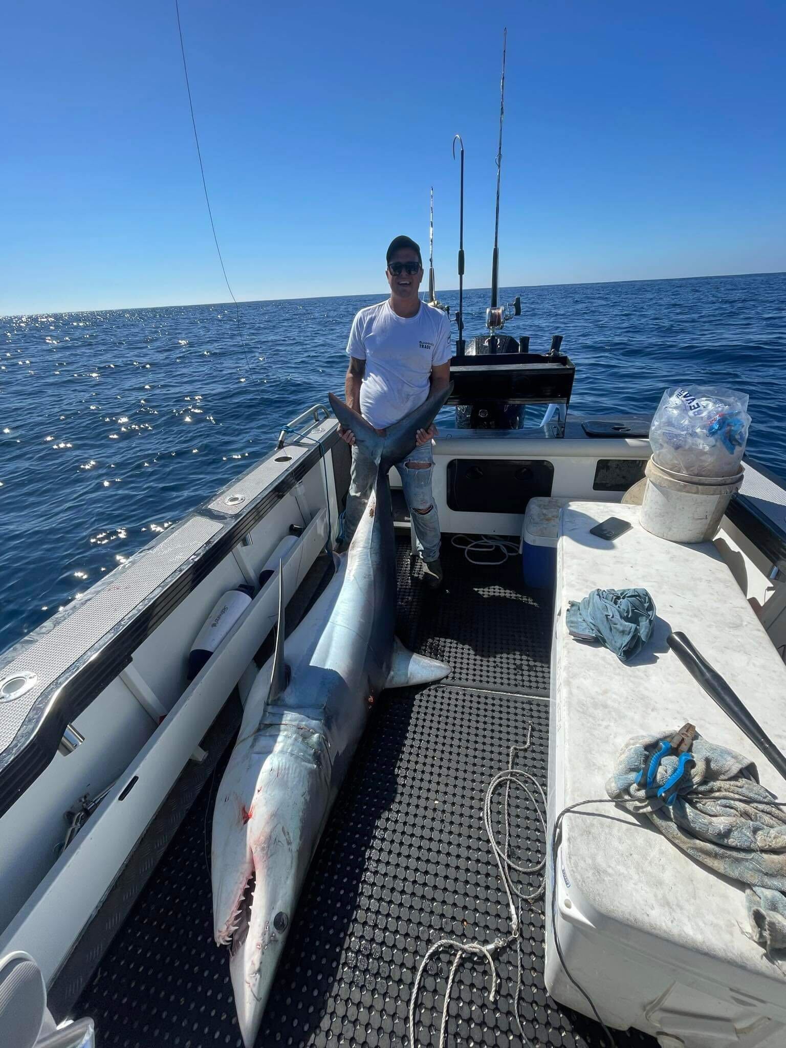 Mako shark action