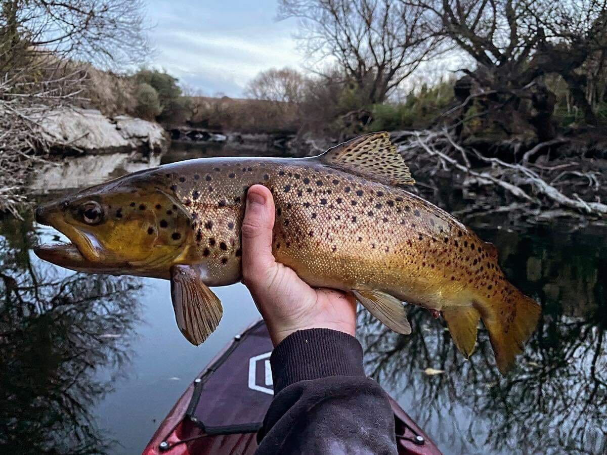 Merri River move