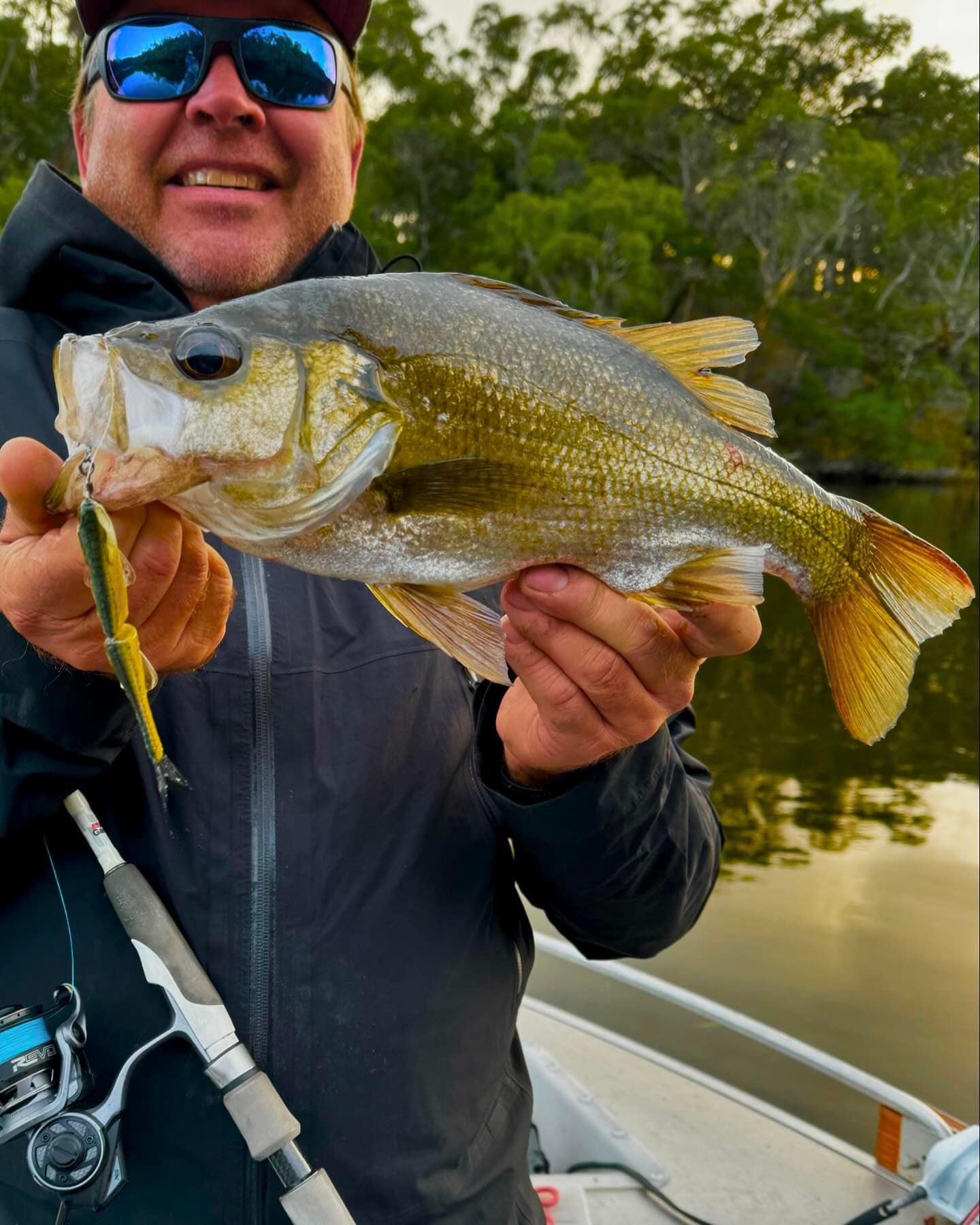 Glenelg River Perch