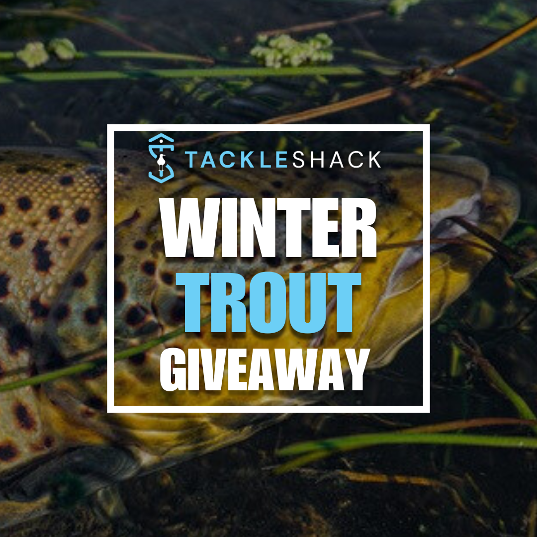 Winter Trout Giveaway