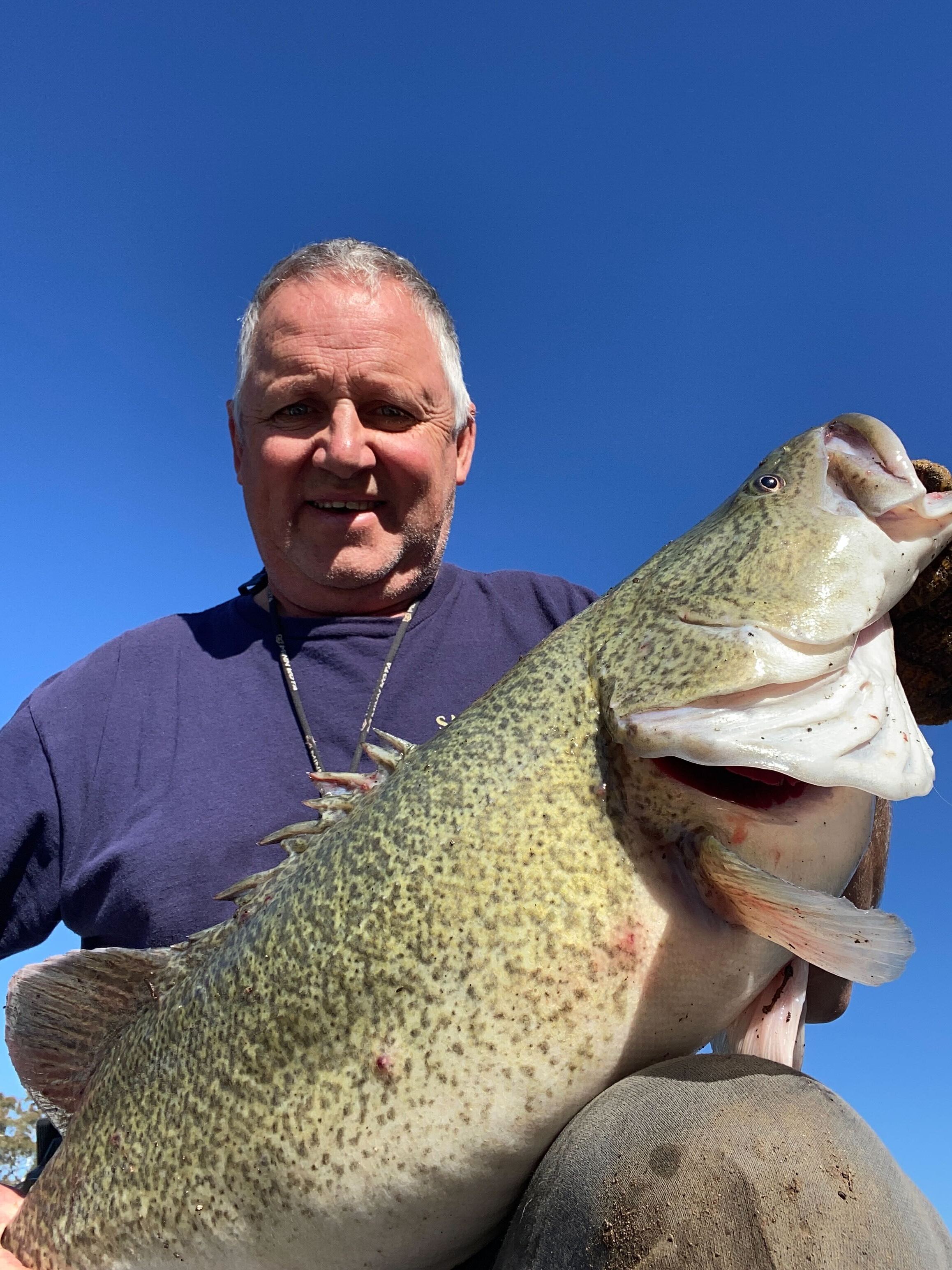 Murray River Cod mission