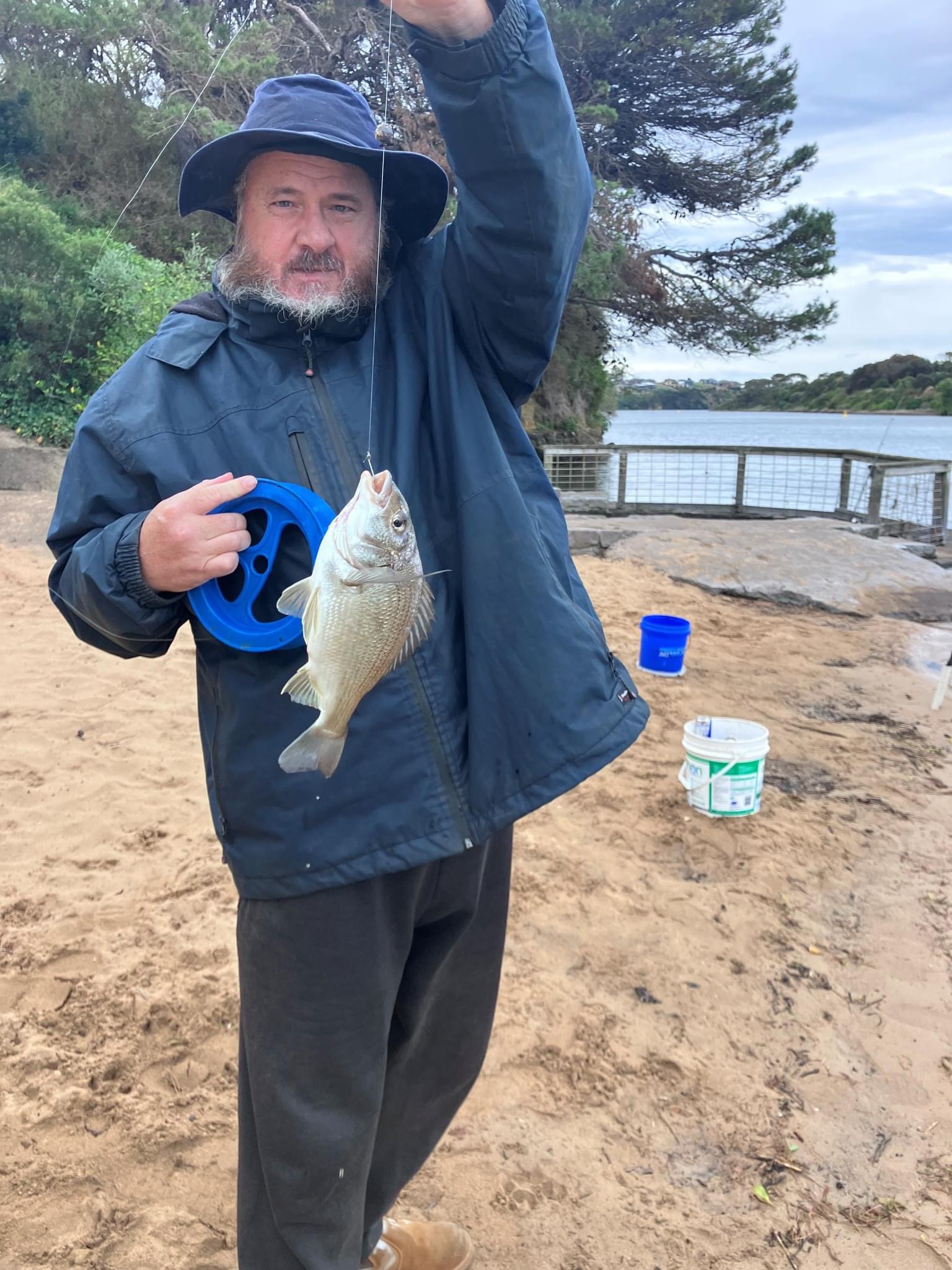 Blue Bream