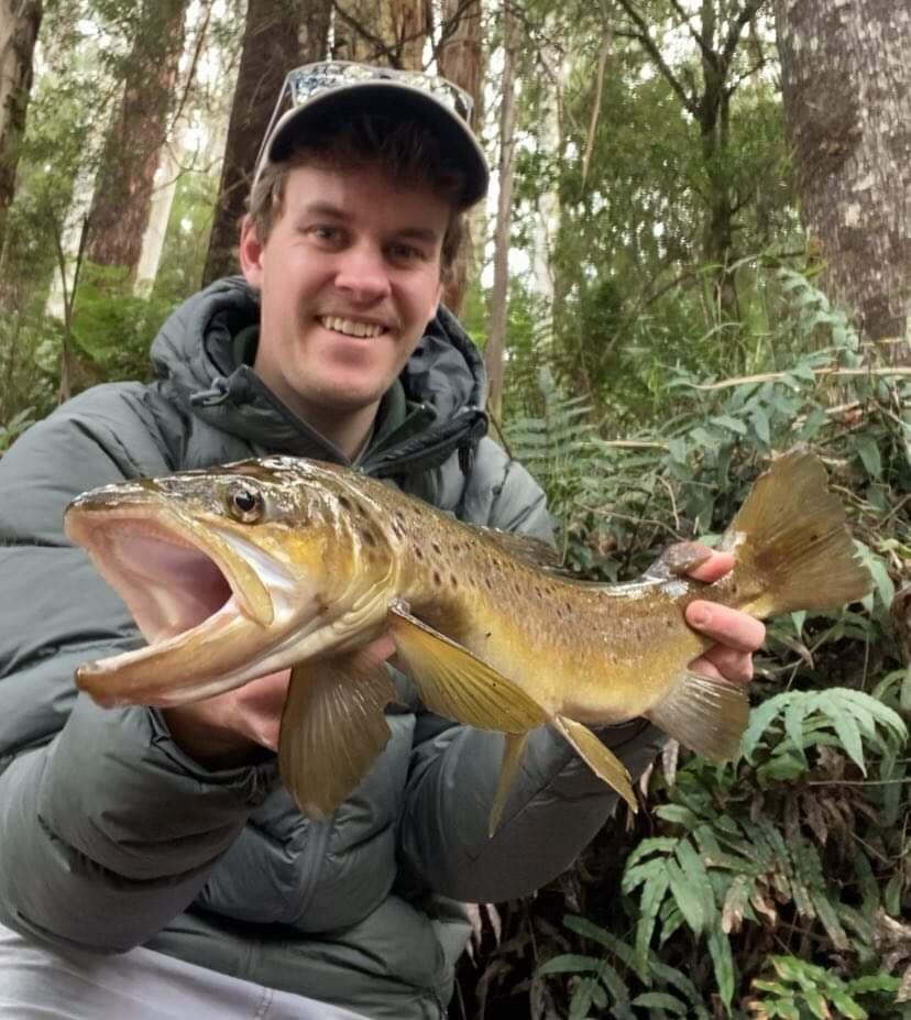Otway Trout
