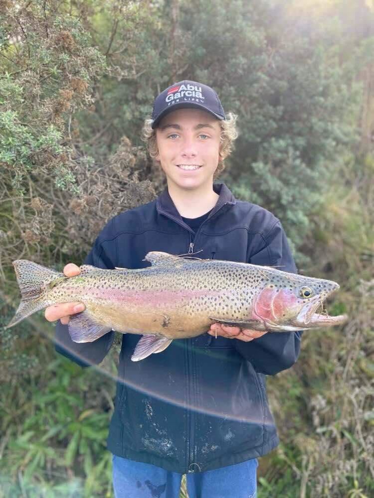 Rainbow Trout