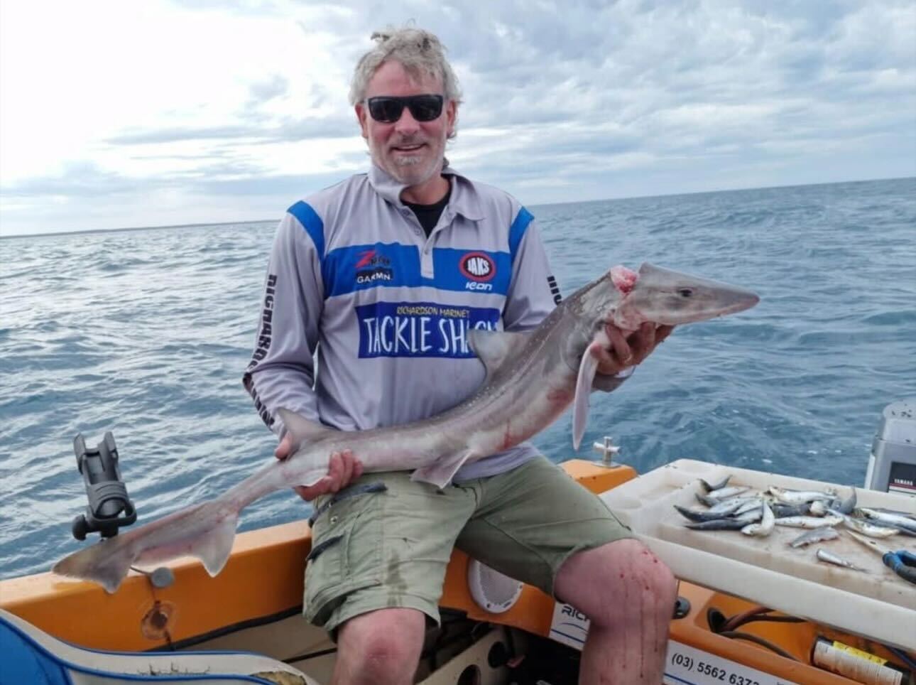Shark for Tony