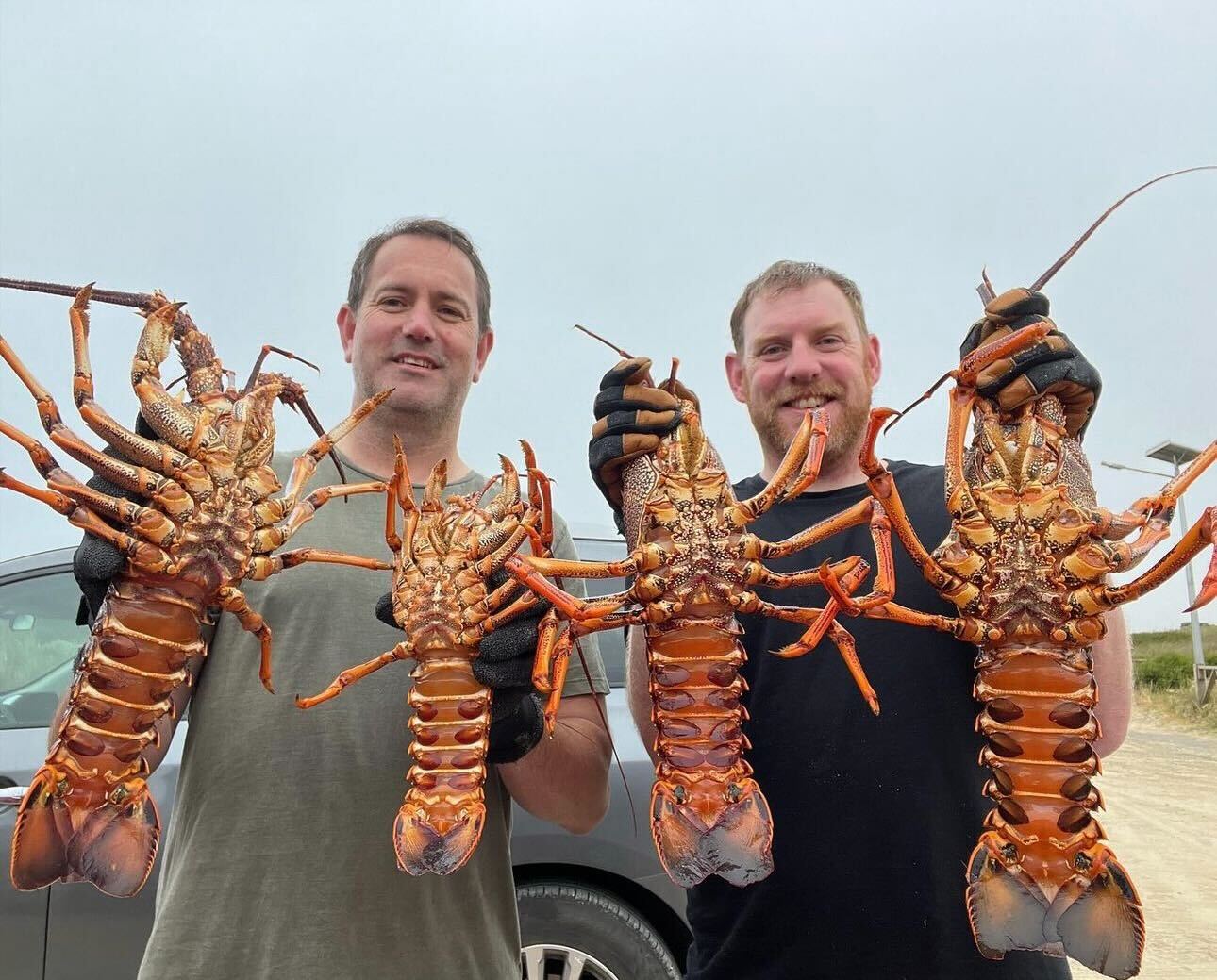 Christmas Crays