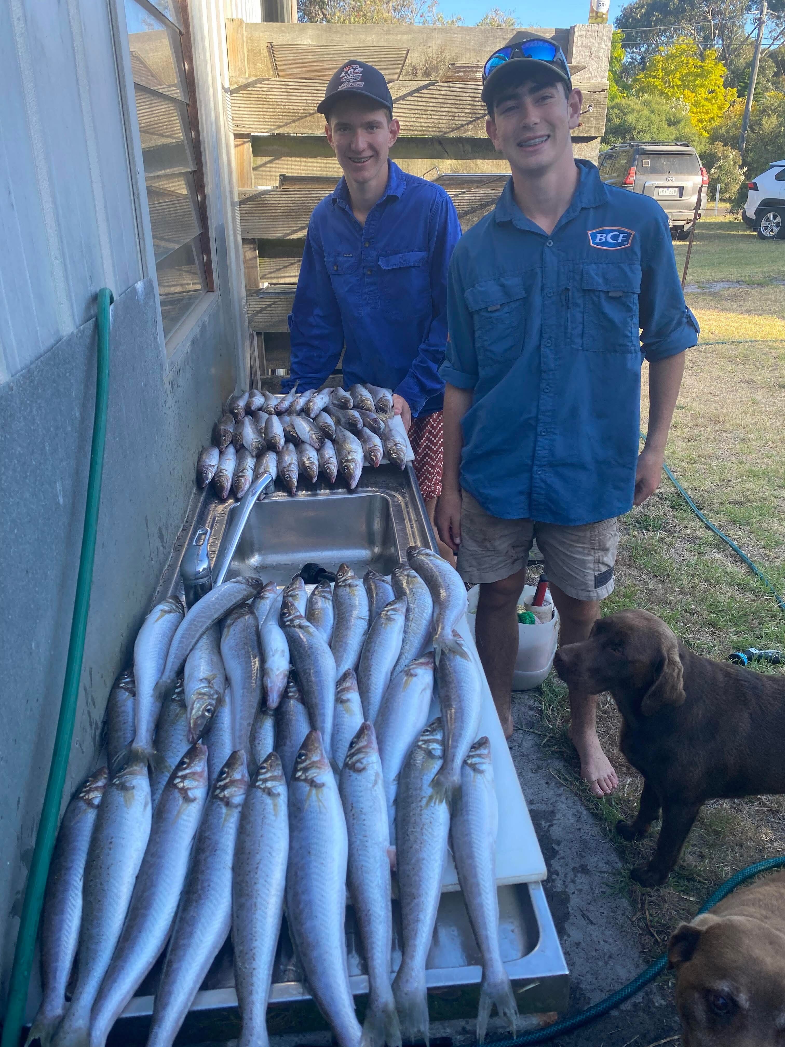 New Year's Eve Whiting