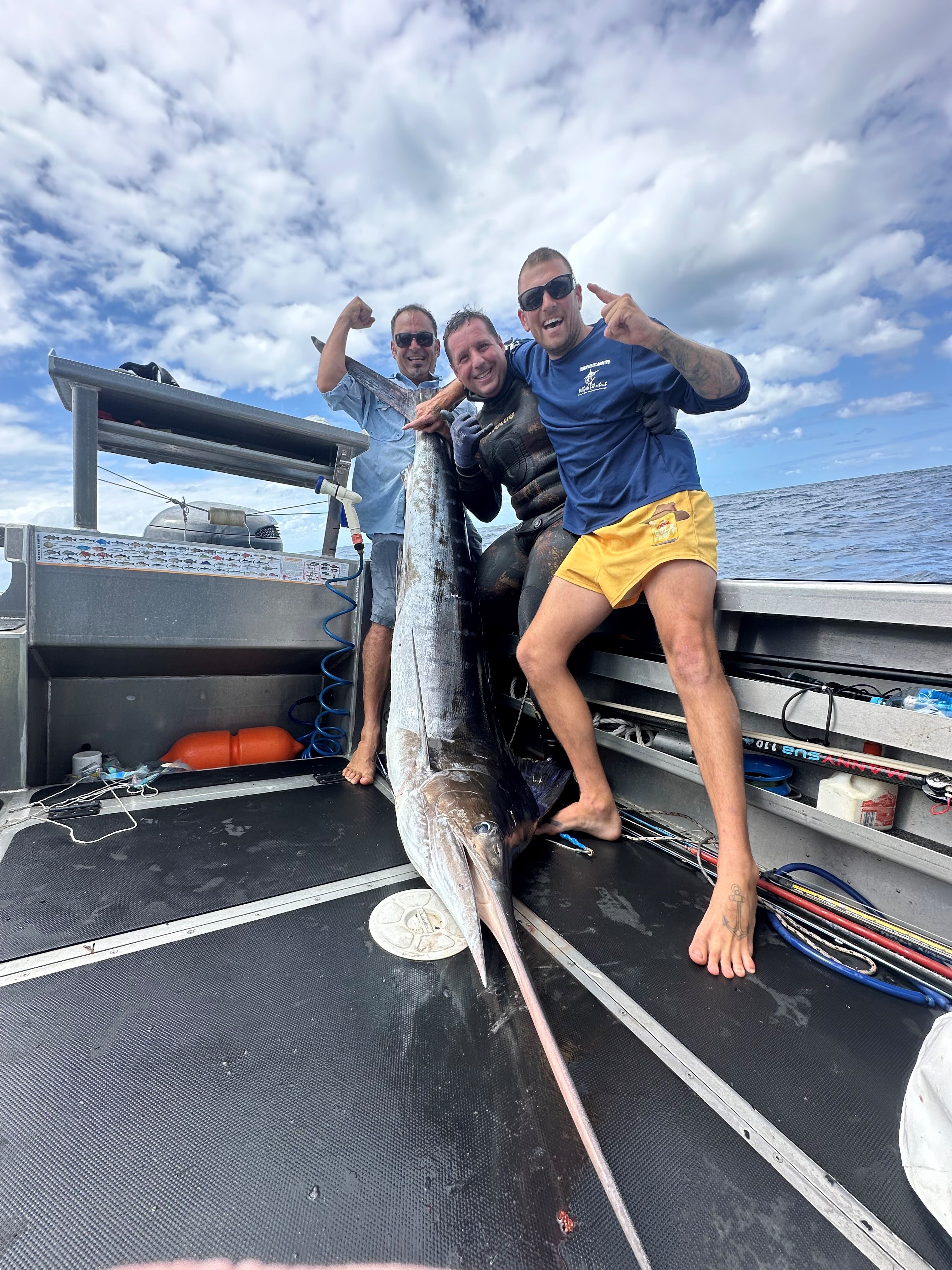Marlin on the spear