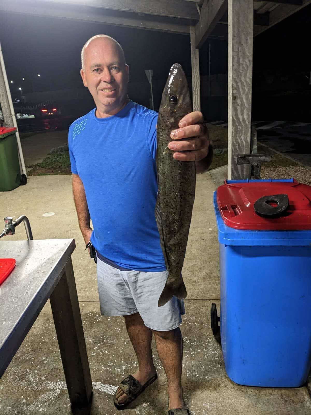 Jumbo Whiting