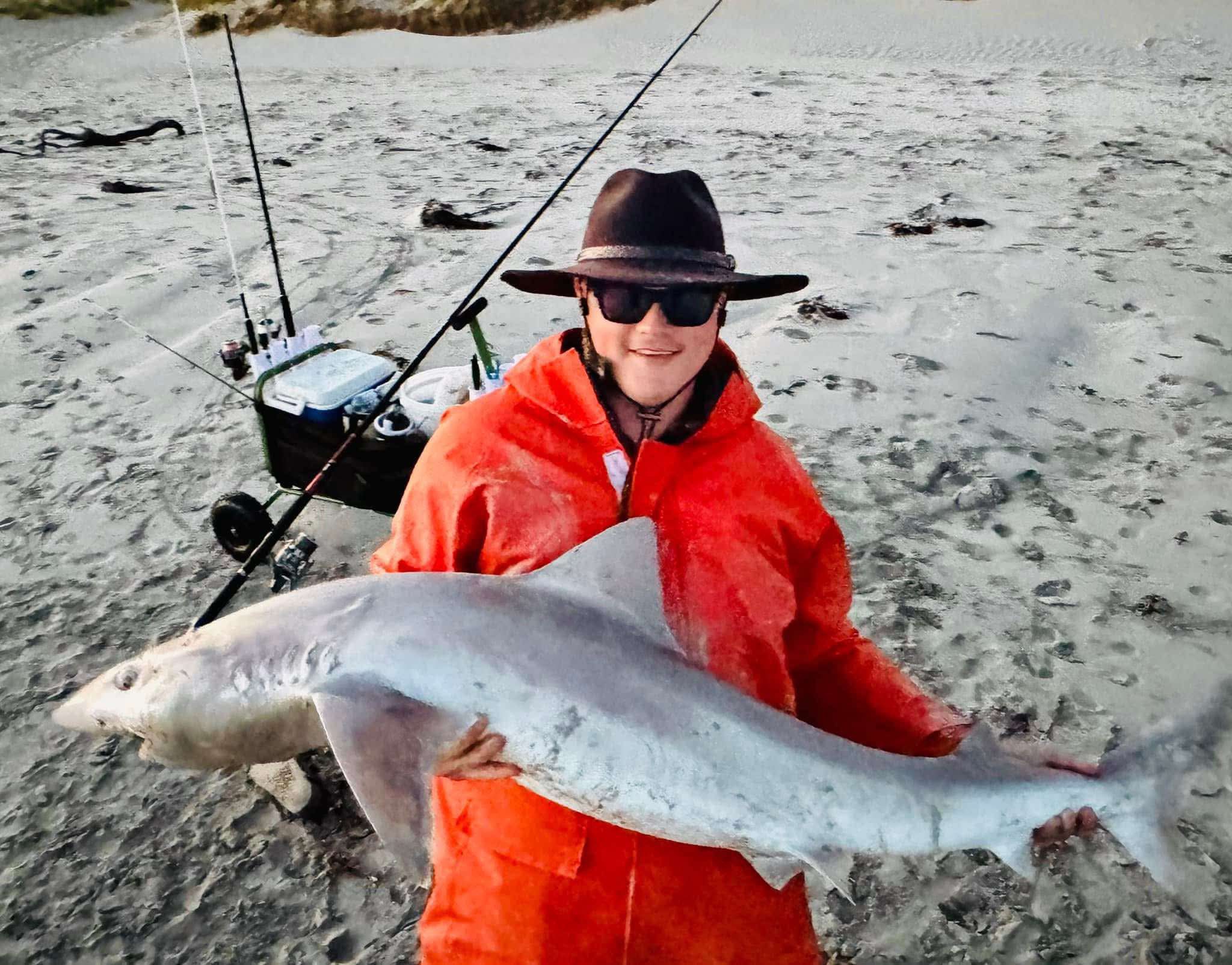 Surf Sharks