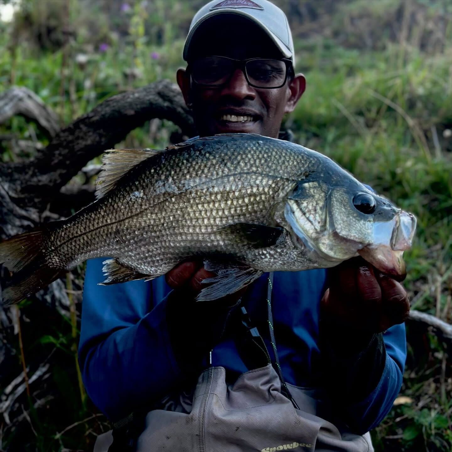 Another big bucket mouth