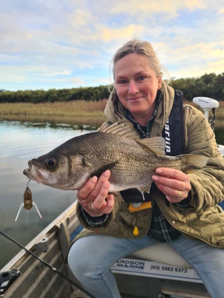 Topwater Perch'n
