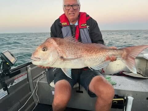 Gigantic SA snapper
