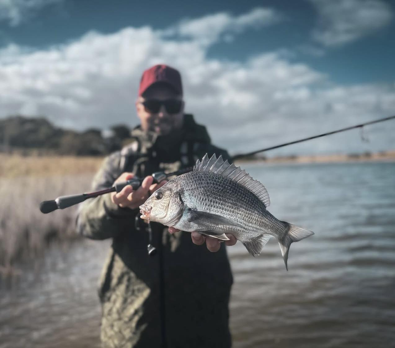 Hopkins Bream