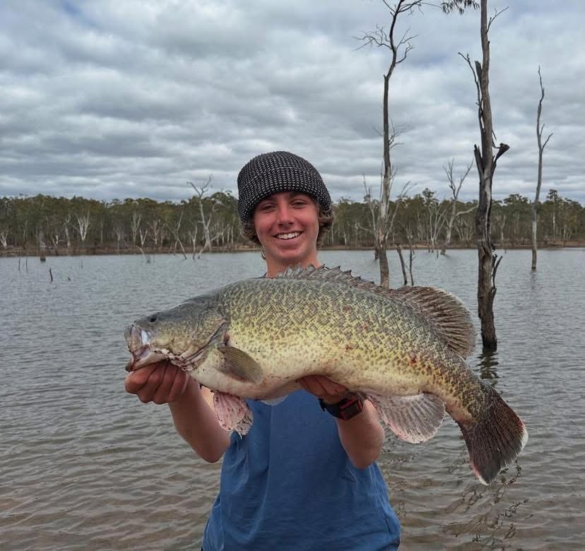 Rocklands Cod