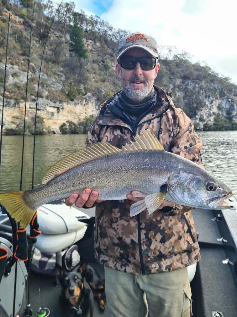 Nelson Mulloway