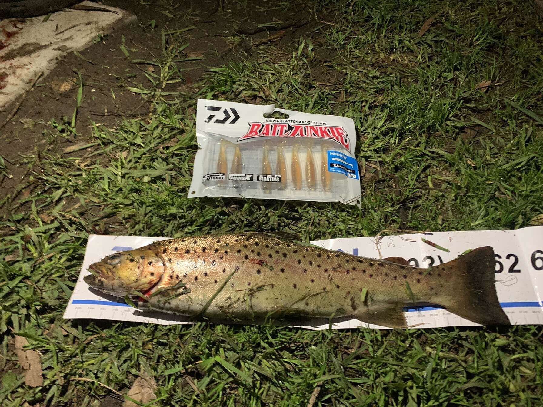 Trout entry