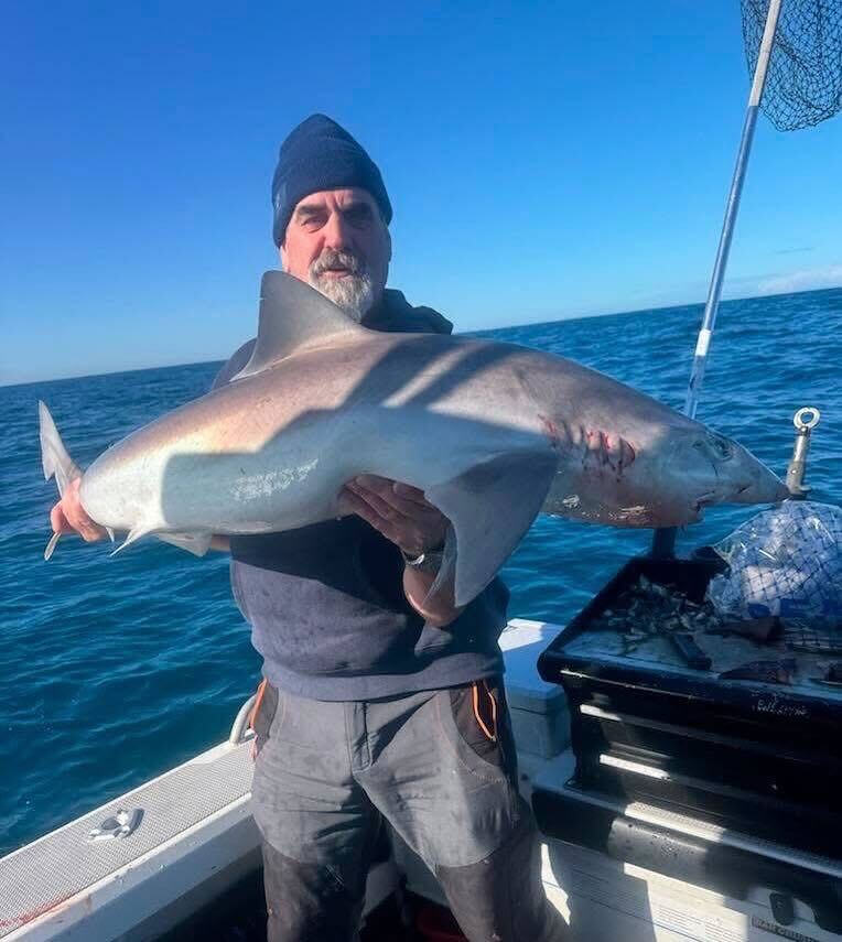 School shark slayi'n