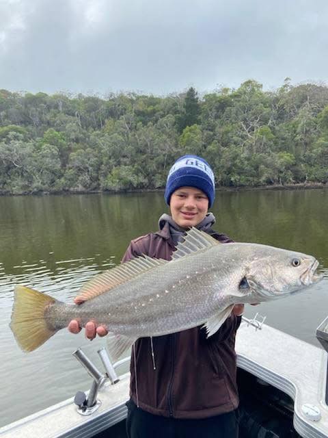 Glenelg Mulloway
