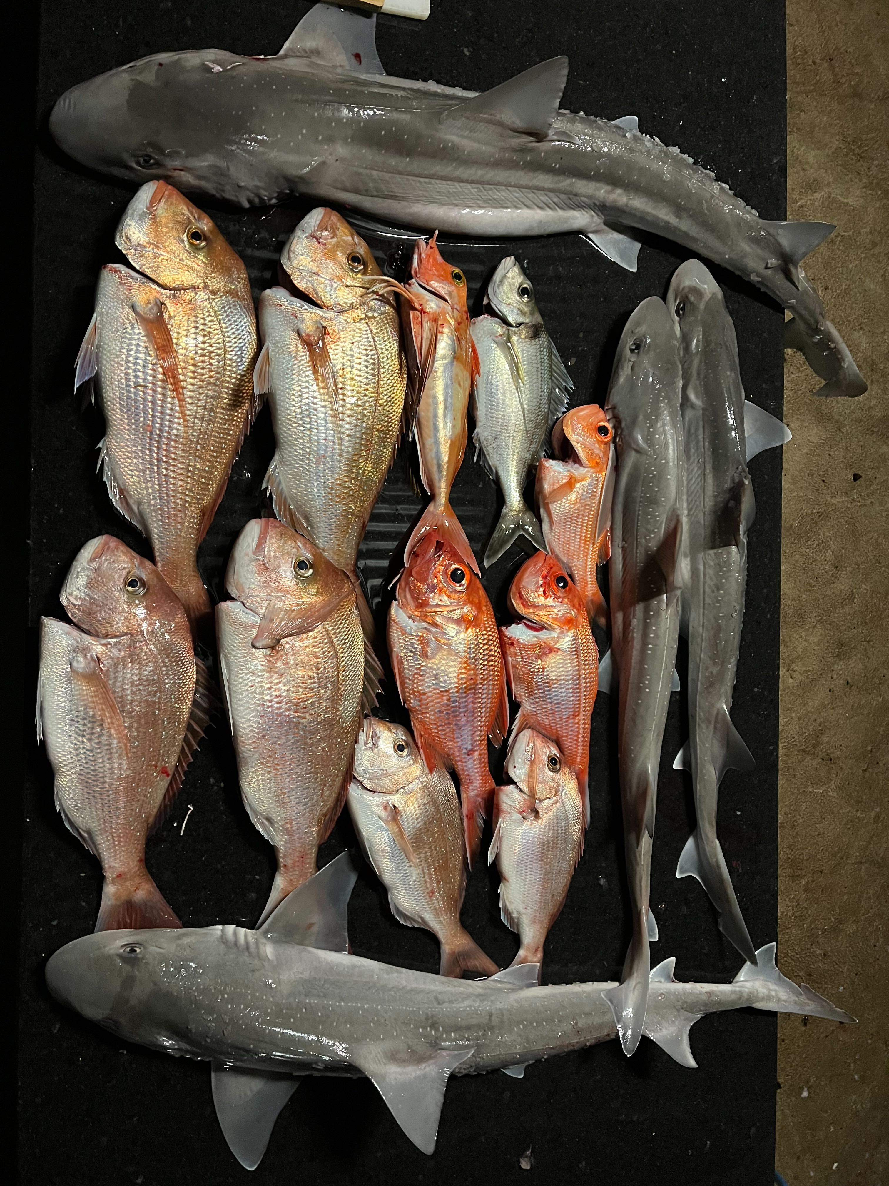 Mixed bag of Goodies