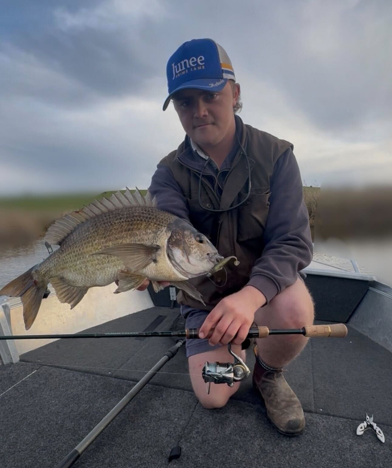 Bream on the Spectre