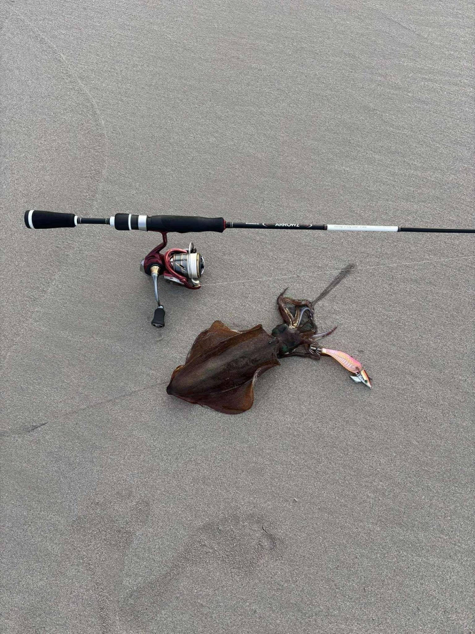 Beach Squidding
