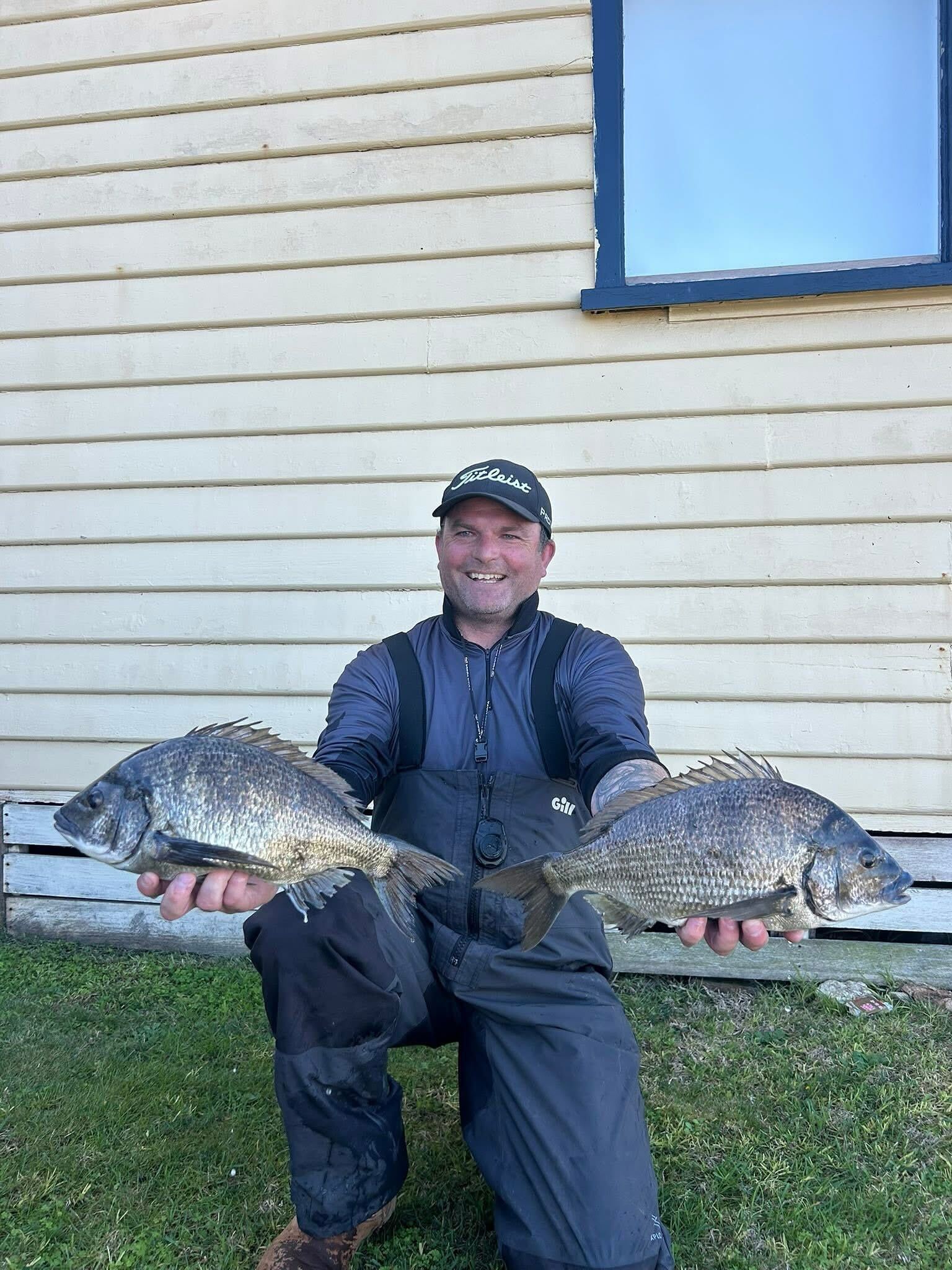 Huge bream