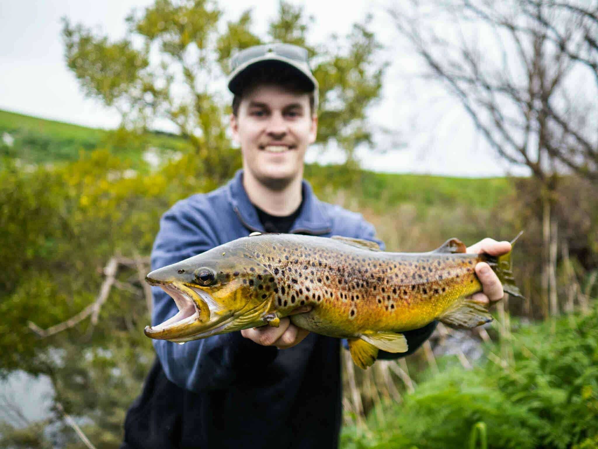 Trout T-Tail