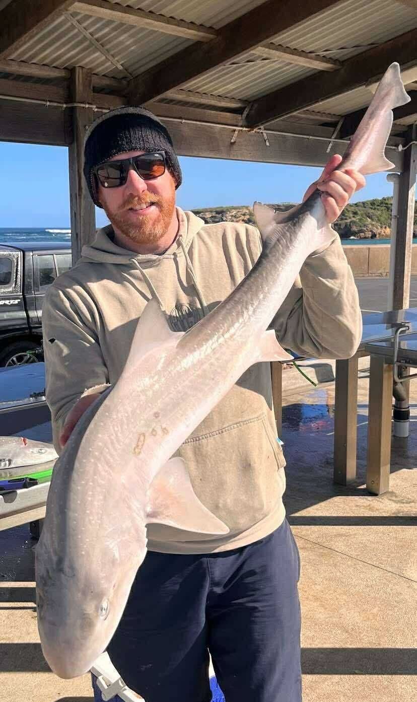 Gummy on jig?