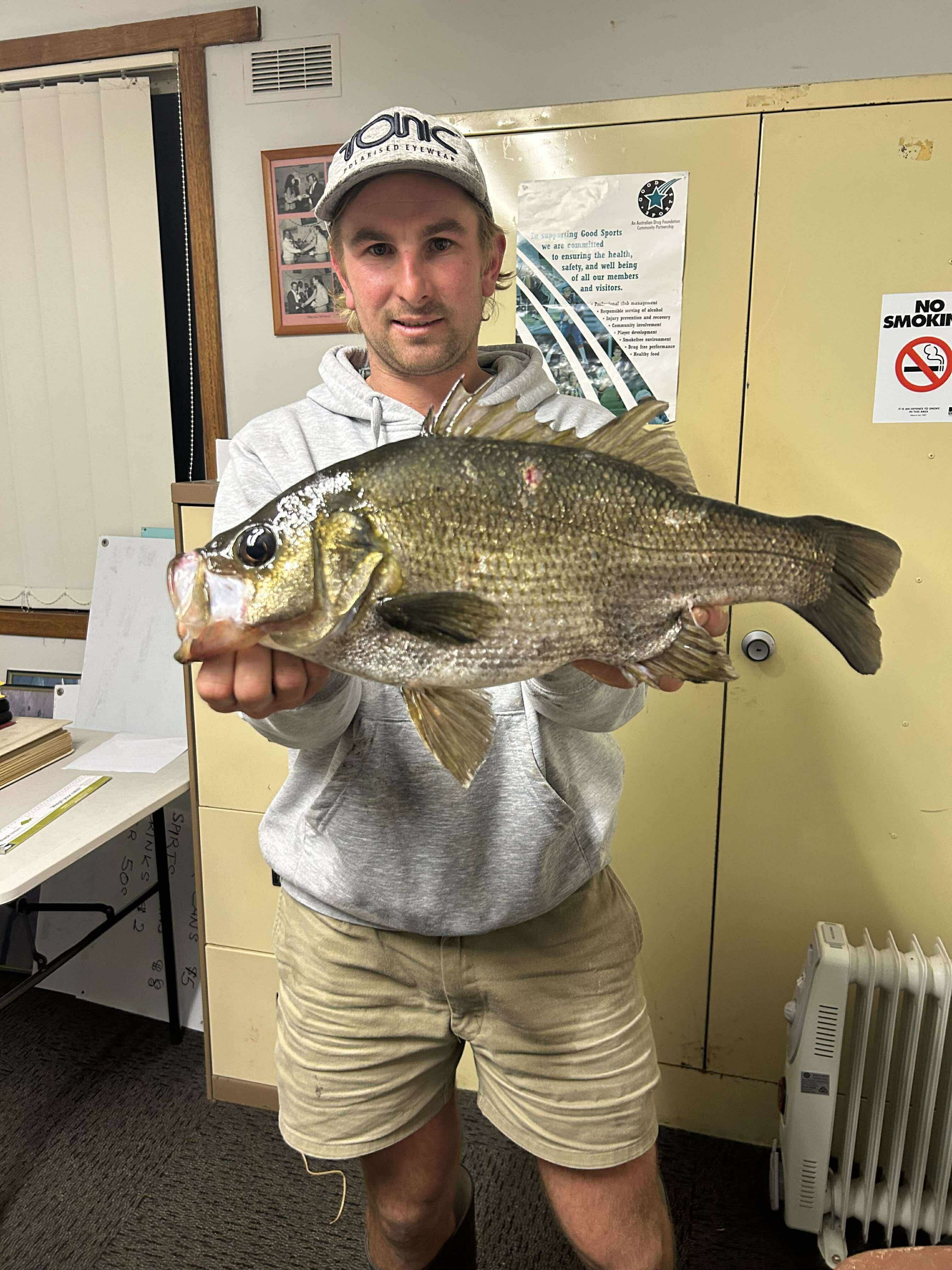Huge Perch!