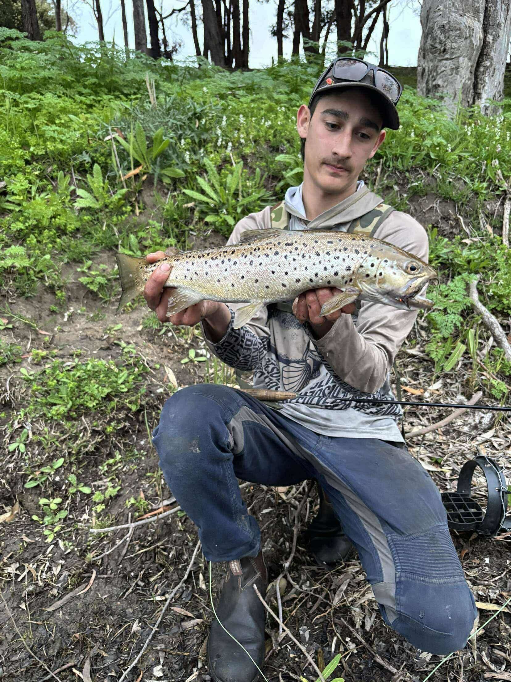 Fly Trout