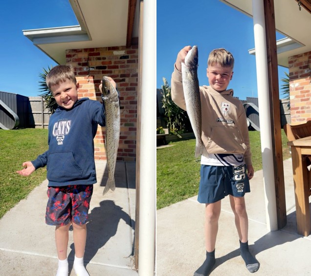 Whiting whoppers