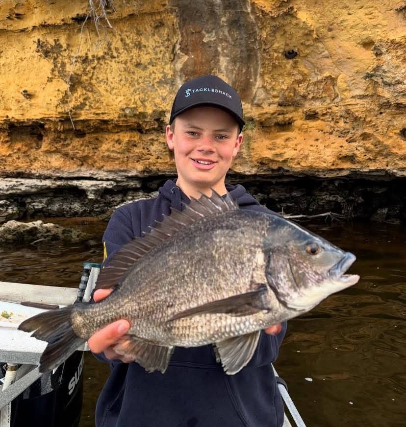 Big bream