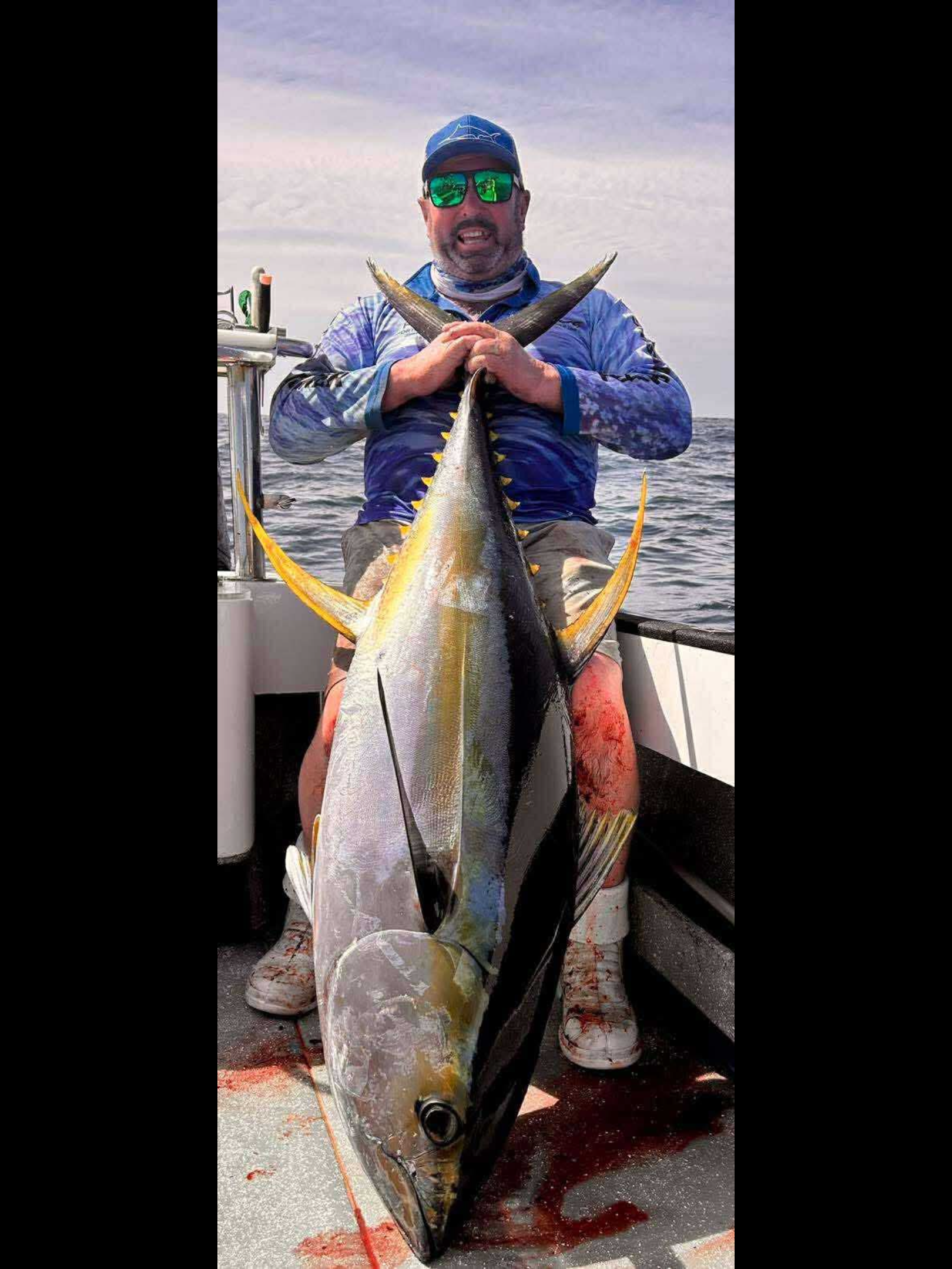 Big yellow fin