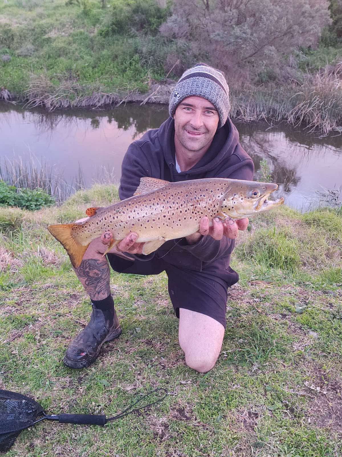 Merri River Brown Trout