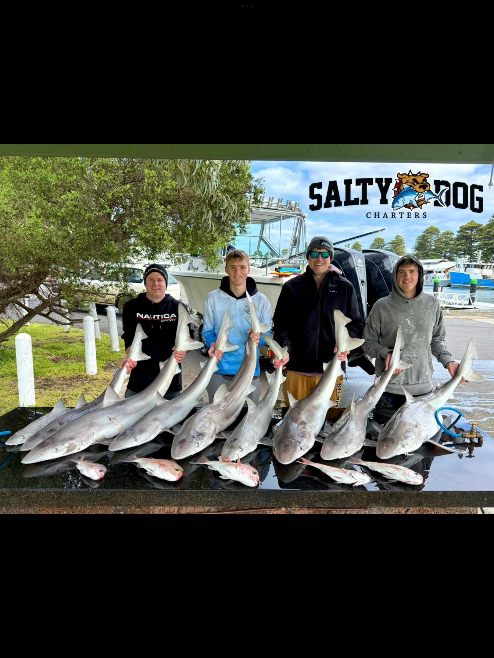 Salty dog fishing