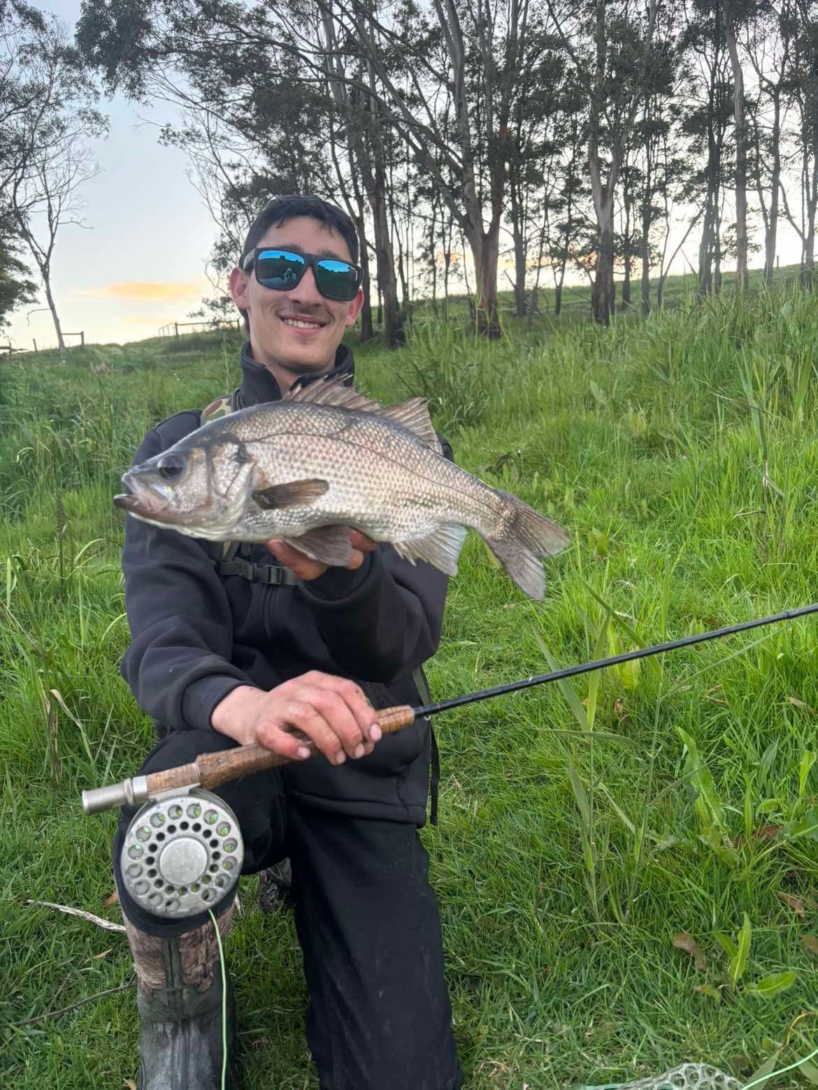 Estuary perch on flys