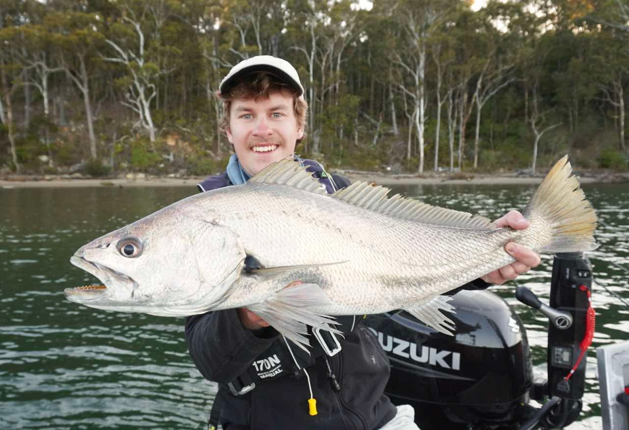 Big Mulloway