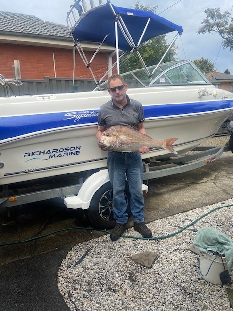 Port Phillip Bay Snapper