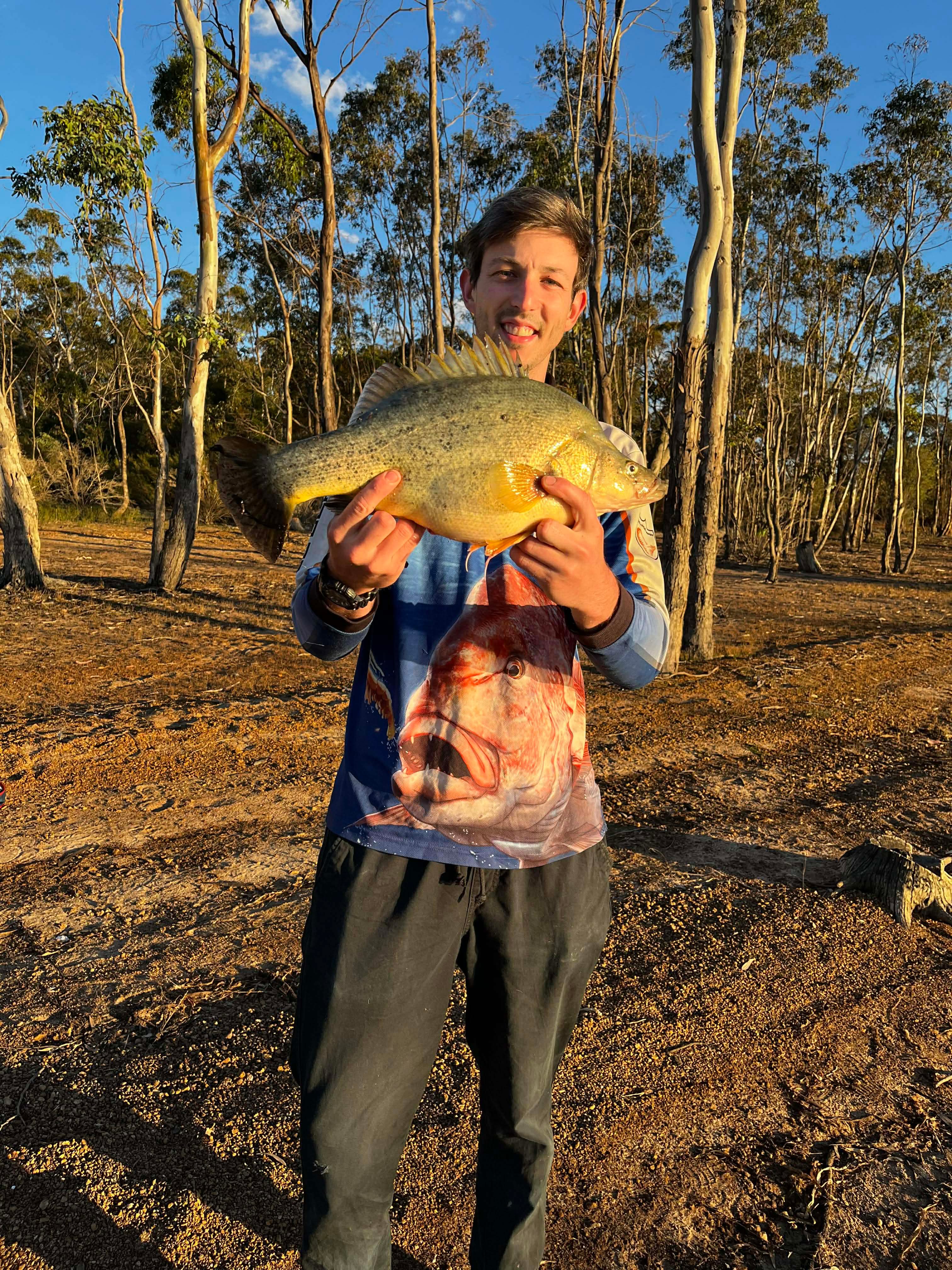 Rocklands yellow belly