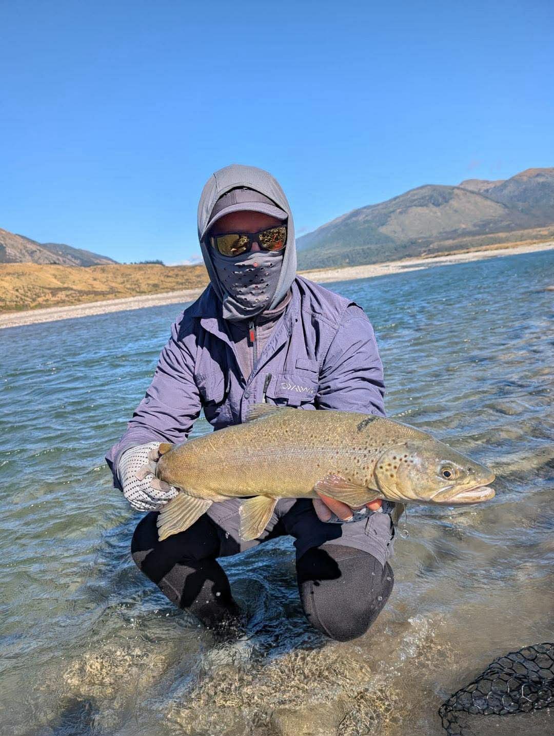 New Zealand trout