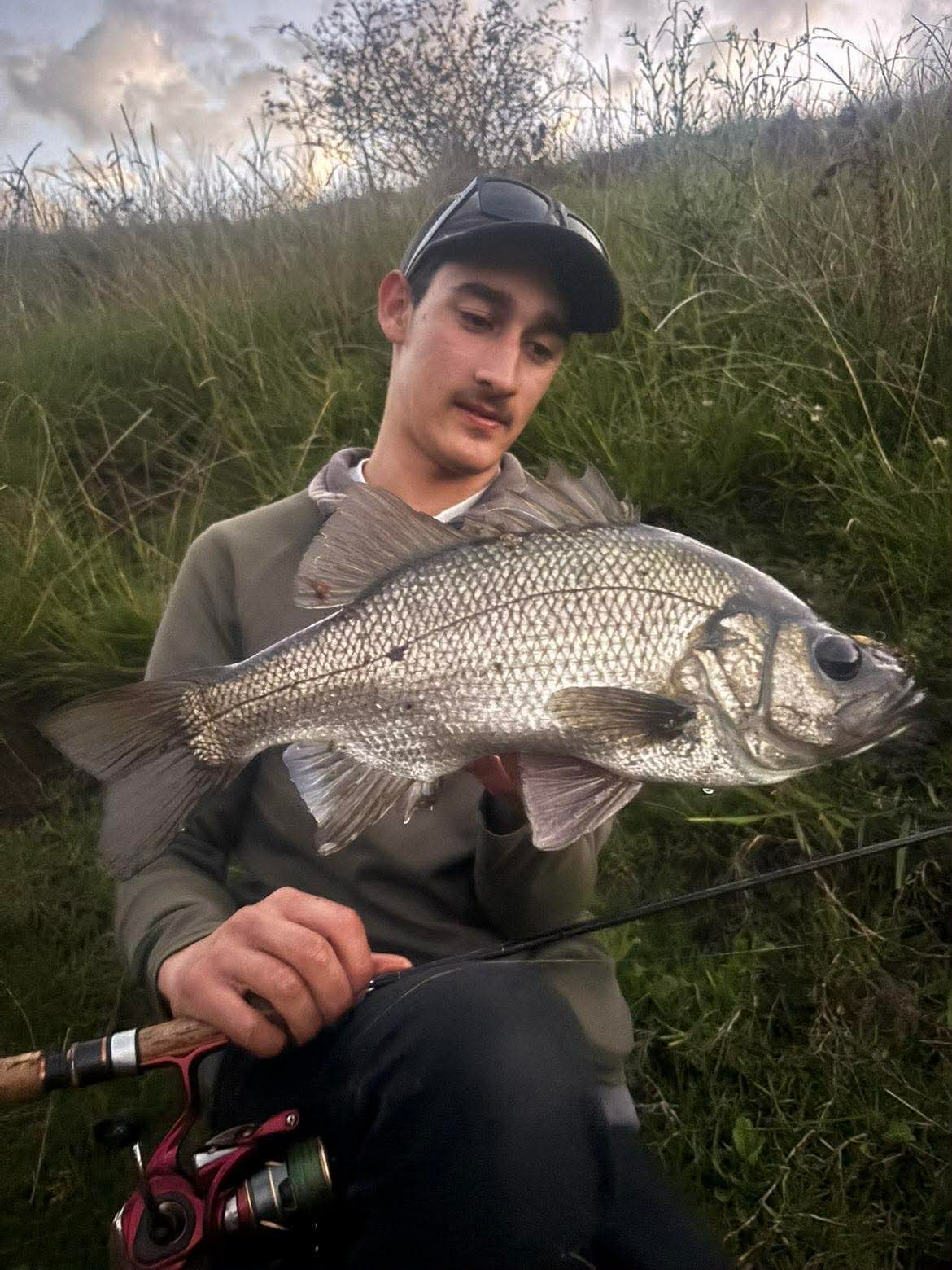 Cold perch