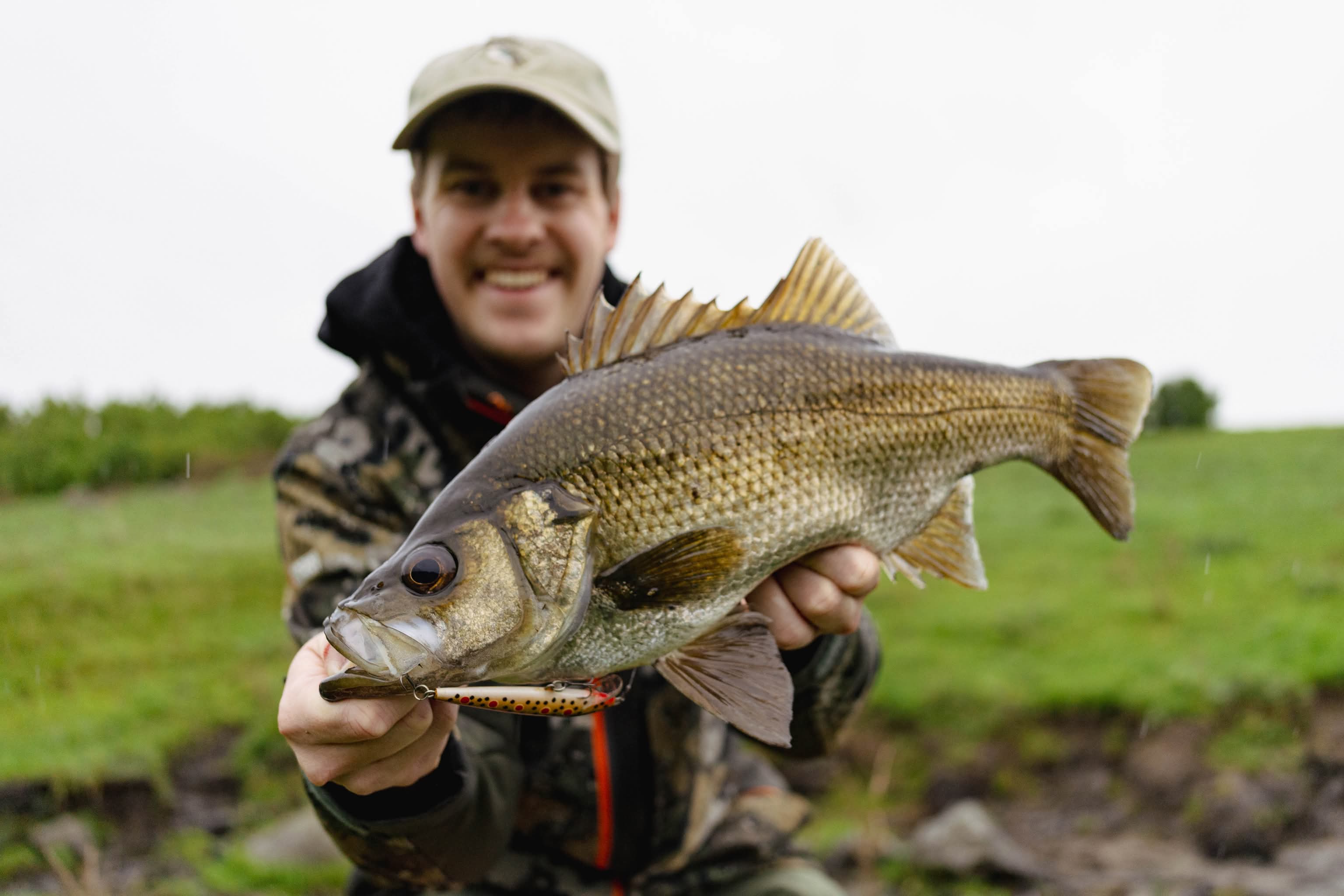 Hopkins Falls Estuary Perch