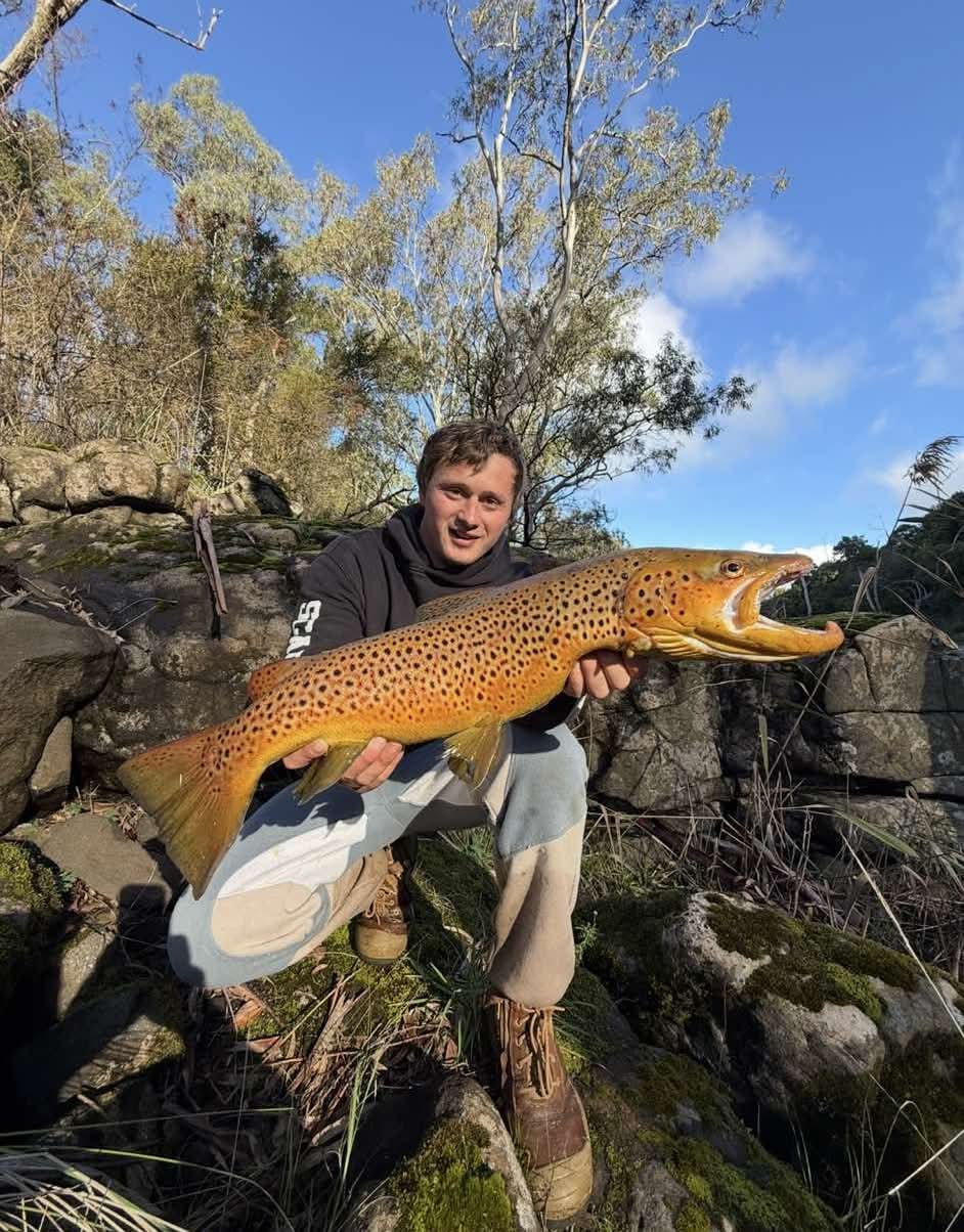 Looooong trout