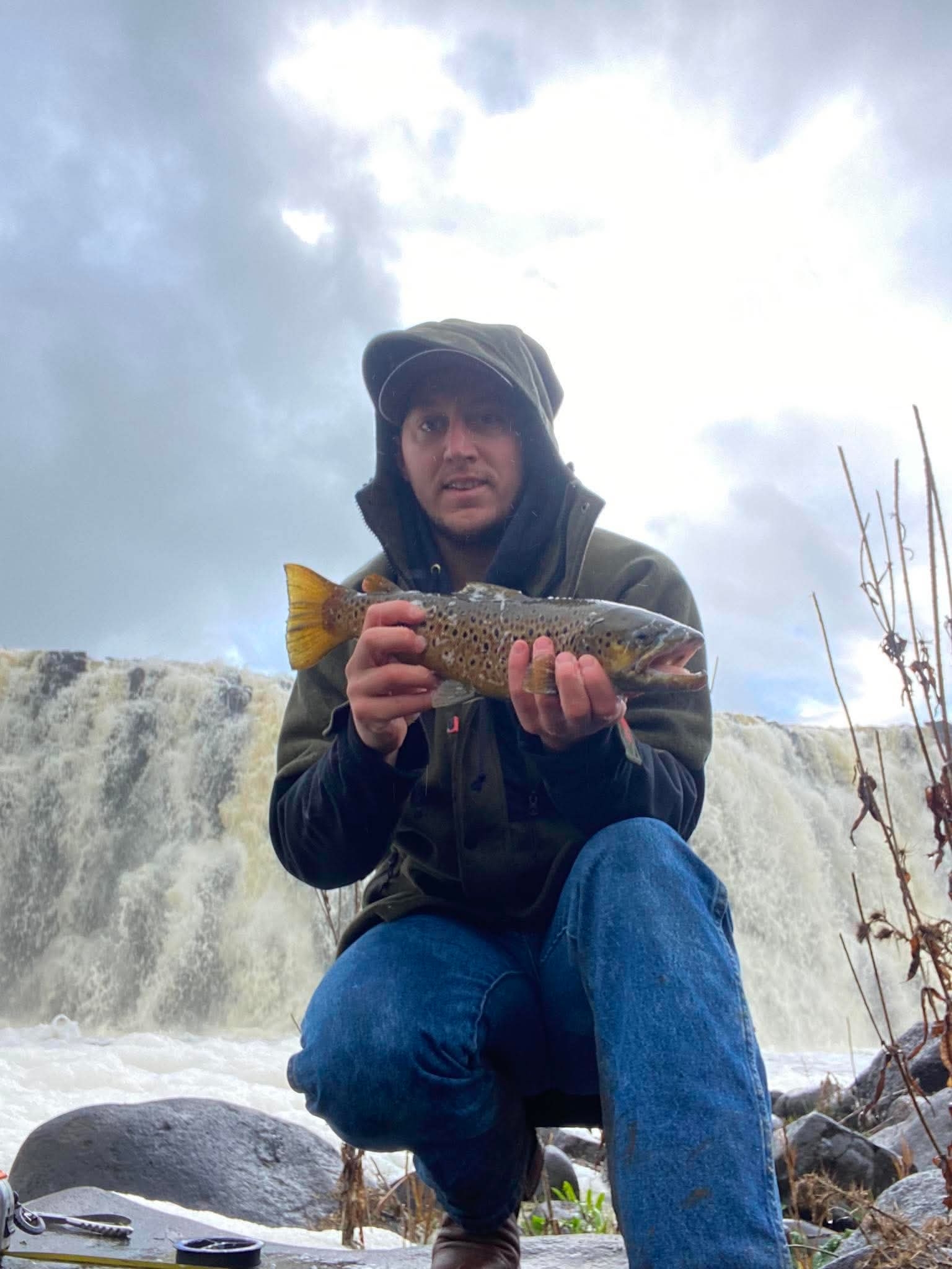 Falling browns