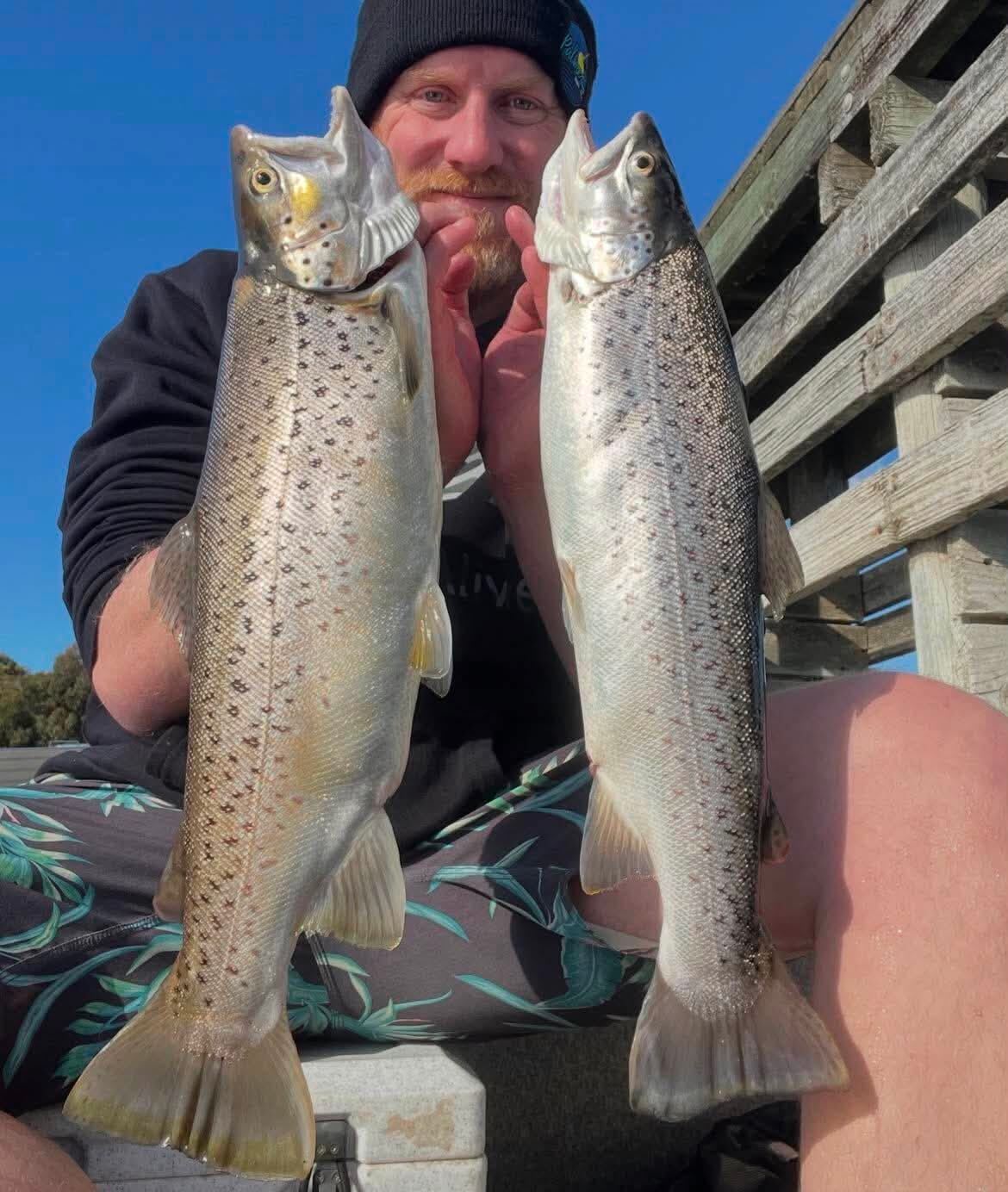 Toolirook fishing
