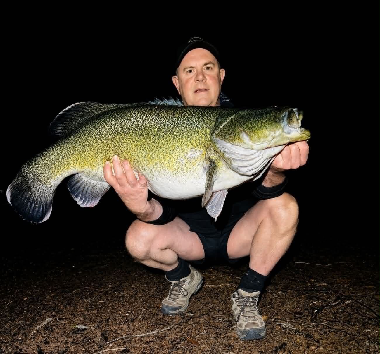 Rocklands Murray cod