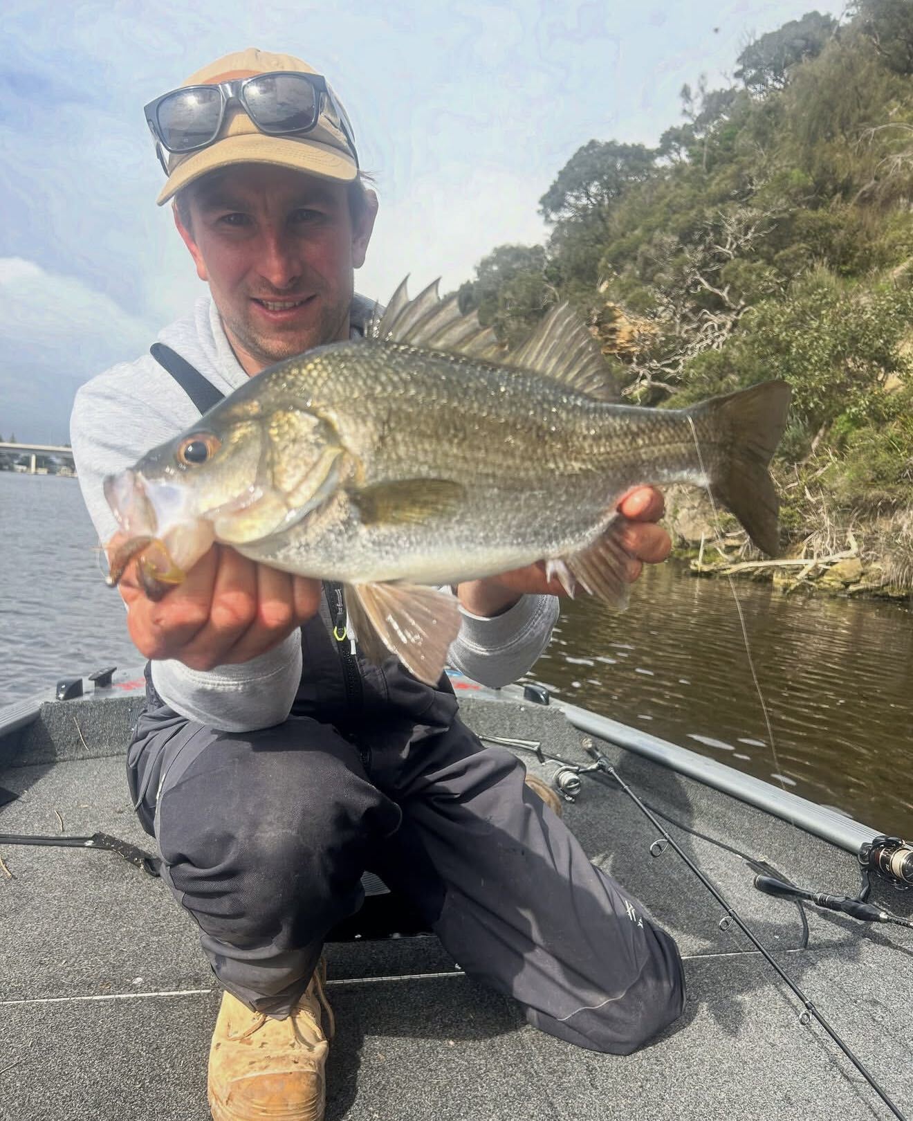 Perch'n search'n